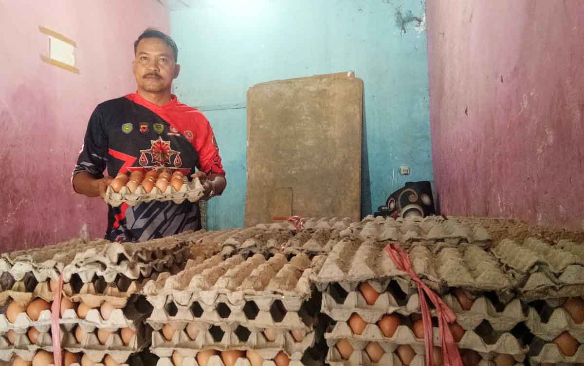 Jelang Tahun Baru, Harga Telur Ayam Rp31 Ribu Per Kilogram