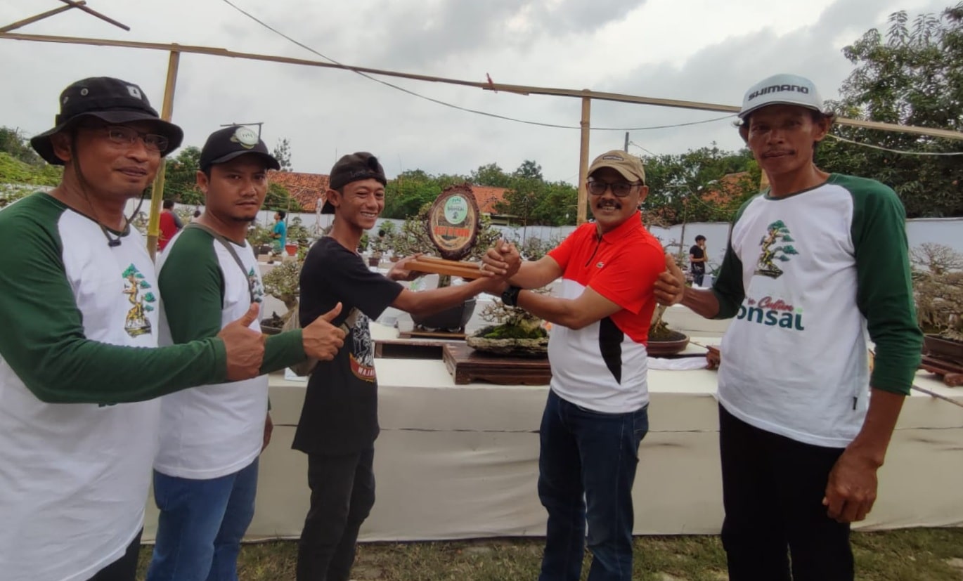 Kontes Bonsai di Indramayu, Ketua DPRD Tawar Rp75 Juta Tetap Tidak Dijual
