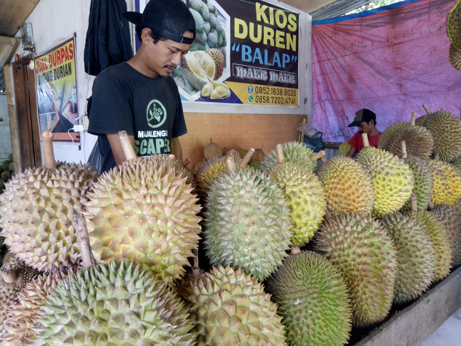 Puncak Musim, Harga Durian Tetap Tinggi