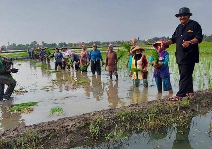 Petani Ngeluh Sewa Lahan Mahal