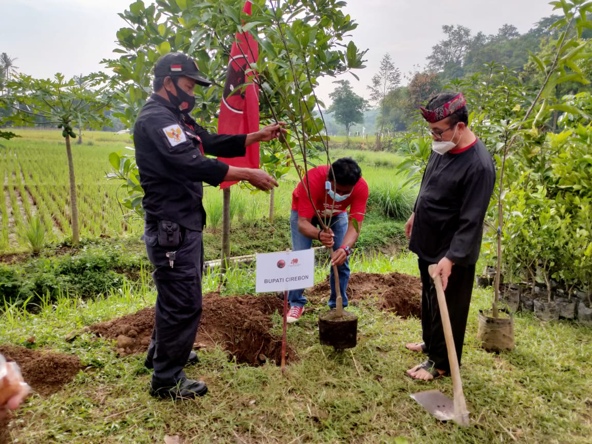 Tanam Pohon, Bukti PDIP Cinta Lingkungan