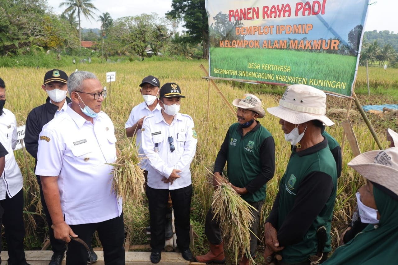 Warga Kertayasa Panen Raya Padi Organik