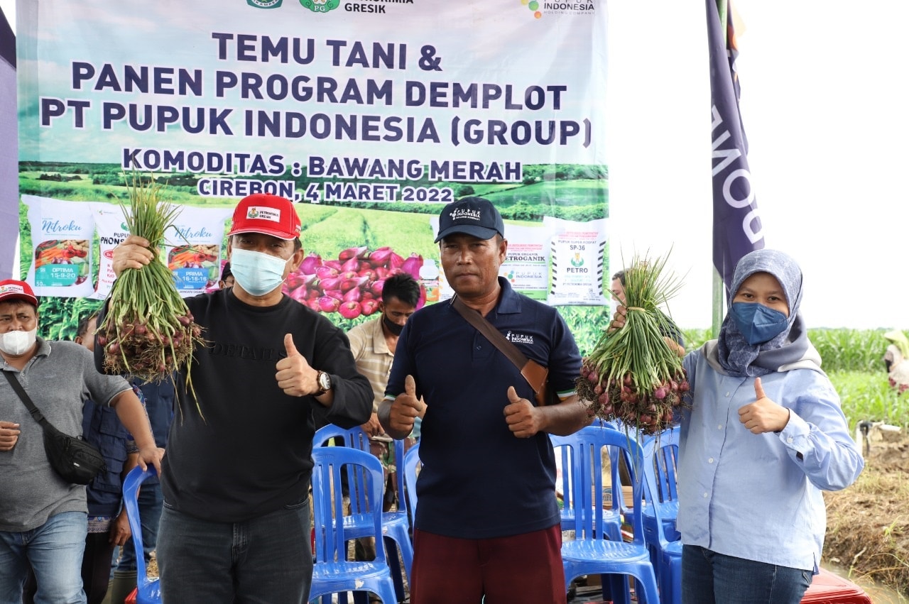 Pupuk Indonesia Selamatkan Petani Bawang dari Penyakit Inul