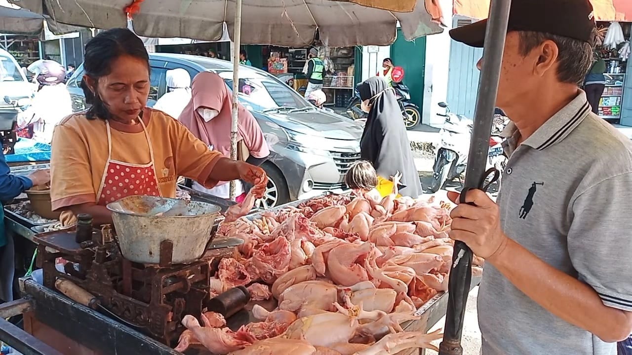 Harga Daging Ayam Naik, Permintaan Tetap Tinggi